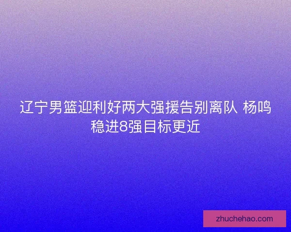 辽宁男篮迎利好两大强援告别离队 杨鸣稳进8强目标更近