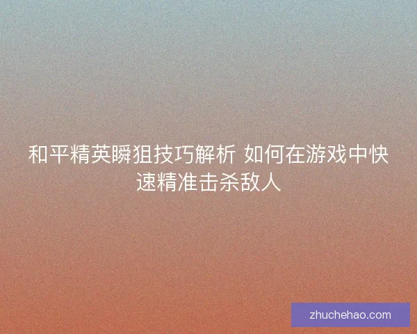 和平精英瞬狙技巧解析 如何在游戏中快速精准击杀敌人