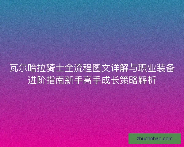 瓦尔哈拉骑士全流程图文详解与职业装备进阶指南新手高手成长策略解析