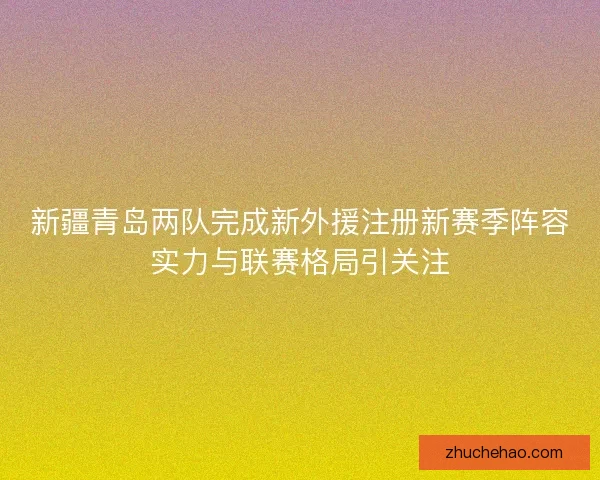 新疆青岛两队完成新外援注册新赛季阵容实力与联赛格局引关注
